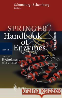 Class 3.2 Hydrolases VII: EC 3.2.1.1 - 3.2.1.47 Schomburg, Dietmar 9783540005193