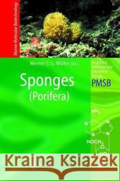 Sponges (Porifera) Werner E. G. Muller Werner E. G. Ed Mueller Werner E. G. M]ller 9783540009689