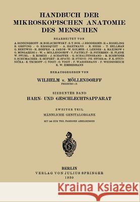 Harn- Und Geschlechtsapparat: Zweiter Teil: Männliche Genitalorgane Stieve, H. 9783540011200