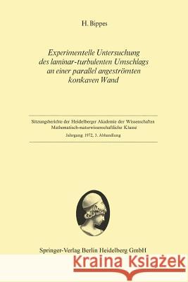 Experimentelle Untersuchung Des Laminar-Turbulenten Umschlags an Einer Parallel Angeströmten Konkaven Wand Bippes, Hans 9783540059486 Springer-Verlag