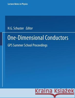 One-Dimensional Conductors: GPS Summer School Proceedings H.G. Schuster 9783540070245 Springer-Verlag Berlin and Heidelberg GmbH & 