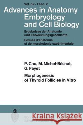 Morphogenesis of Thyroid Follicles in Vitro P. Cau M. Michel-Bechet G. Fayet 9783540076544 Not Avail