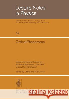 Critical Phenomena: Sitges International School on Statistical Mechanics, June 1976 Sitges, Barcelona/Spain J. Brey, R.B. Jones, L. Garrido 9783540078623 Springer-Verlag Berlin and Heidelberg GmbH & 