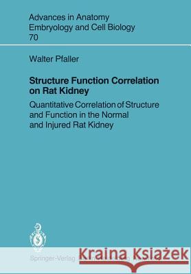 Structure Function Correlation on Rat Kidney: Quantitative Correlation of Structure and Function in the Normal and Injured Rat Kidney Pfaller, Walter 9783540110743 Not Avail