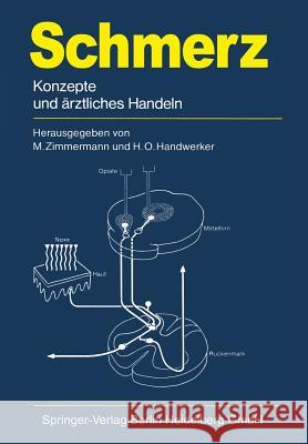 Schmerz: Konzepte Und Ärztliches Handeln Birbaumer, N. 9783540114734 Springer