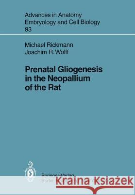 Prenatal Gliogenesis in the Neopallium of the Rat Michael Rickmann Joachim R. Wolff 9783540138495