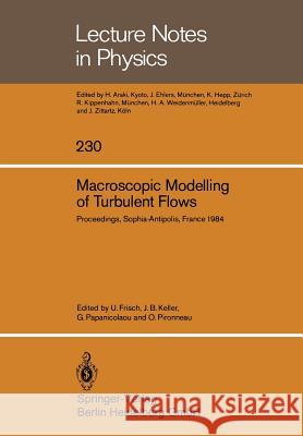 Macroscopic Modelling of Turbulent Flows: Proceedings of a Workshop Held at Inria, Sophia-Antipolis, France, December 10-14, 1984 Frisch, Uriel 9783540156444