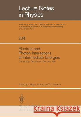 Electron and Photon Interactions at Intermediate Energies: Proceedings of the 1984 Workshop Held at Bad Honnef, Germany, October 29-31, 1984 Menze, D. 9783540156871 Not Avail