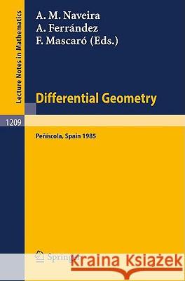 Differential Geometry, Peniscola 1985: Proceedings of the 2nd International Symposium Held at Peniscola, Spain, June 2-9, 1985 Naveira, Antonio M. 9783540168010 Springer