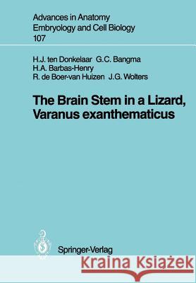 The Brain Stem in a Lizard, Varanus Exanthematicus Donkelaar, Hendrik J. Ten 9783540179481 Springer