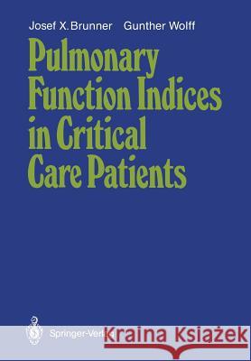 Pulmonary Function Indices in Critical Care Patients Josef X. Brunner Gunther Wolff 9783540184324