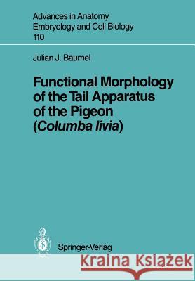 Functional Morphology of the Tail Apparatus of the Pigeon (Columba Livia) Baumel, Julian J. 9783540188681