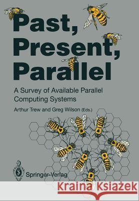 Past, Present, Parallel: A Survey of Available Parallel Computer Systems Trew, Arthur 9783540196648 Springer