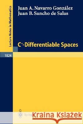 C^Infinity - Differentiable Spaces Navarro González, Juan A. 9783540200727 SPRINGER-VERLAG BERLIN AND HEIDELBERG GMBH & 