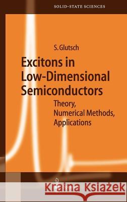 Excitons in Low-Dimensional Semiconductors: Theory Numerical Methods Applications Glutsch, Stephan 9783540202400 Springer