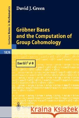 Gröbner Bases and the Computation of Group Cohomology David J. Green 9783540203391
