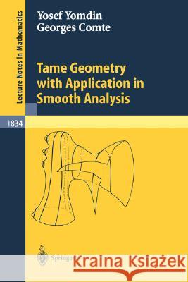 Tame Geometry with Application in Smooth Analysis Yosef Yomdin Georges Comte 9783540206125 Springer