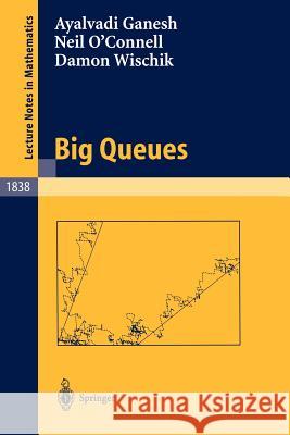 Big Queues Ayalvadi Ganesh Neil O'Connell Damon Wischik 9783540209126 Springer