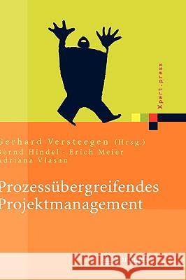 Prozessübergreifendes Projektmanagement: Grundlagen Erfolgreicher Projekte Versteegen, Gerhard 9783540223887