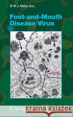 Foot-and-Mouth Disease Virus B. W. J. Mahy 9783540224198 Springer-Verlag Berlin and Heidelberg GmbH & 