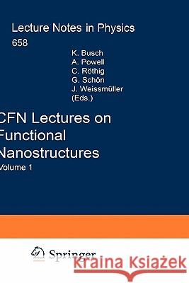 Cfn Lectures on Functional Nanostructures: Volume 1 Busch, Kurt 9783540229292