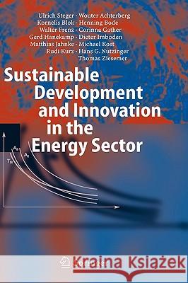 Sustainable Development and Innovation in the Energy Sector Wouter Achterberg Kornelis Blok Henning Bode 9783540231035