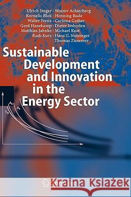 Sustainable Development and Innovation in the Energy Sector Wouter Achterberg Kornelis Blok Henning Bode 9783540231035 Springer