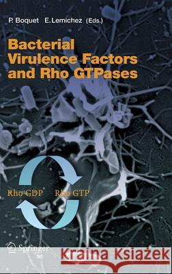 Bacterial Virulence Factors and Rho Gtpases Boquet, Patrice 9783540238652 Springer