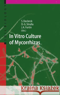 In Vitro Culture of Mycorrhizas Stephane Declerck 9783540240273 Springer