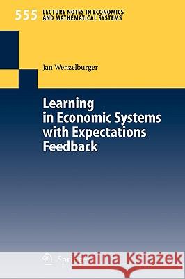 Learning in Economic Systems with Expectations Feedback Jan Wenzelburger 9783540243229 Springer