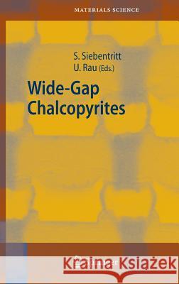 Wide-Gap Chalcopyrites Susanne Siebentritt Uwe Rau S. Siebentritt 9783540244974 Springer