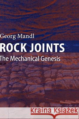 Rock Joints: The Mechanical Genesis Georg Mandl 9783540245537