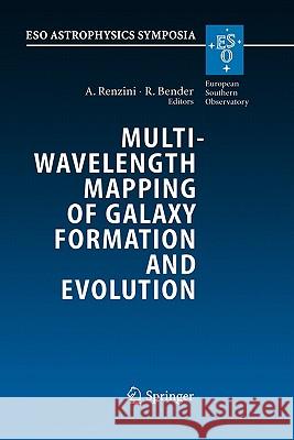 Multiwavelength Mapping of Galaxy Formation and Evolution: Proceedings of the Eso Workshop Held at Venice, Italy, 13-16 October 2003 Renzini, Alvio 9783540256656 Springer
