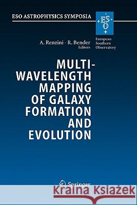 Multiwavelength Mapping of Galaxy Formation and Evolution: Proceedings of the Eso Workshop Held at Venice, Italy, 13-16 October 2003 Renzini, Alvio 9783540256656