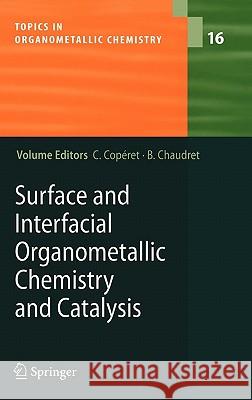 Surface and Interfacial Organometallic Chemistry and Catalysis C. Coperet Christope Coperet 9783540264965 Springer