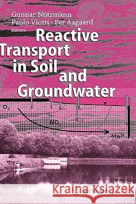 Reactive Transport in Soil and Groundwater: Processes and Models Nützmann, Gunnar 9783540267447