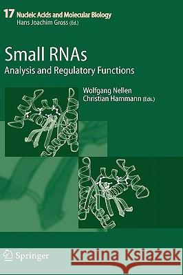 Small RNAs:: Analysis and Regulatory Functions Wolfgang Nellen, Christian Hammann 9783540281290 Springer-Verlag Berlin and Heidelberg GmbH & 