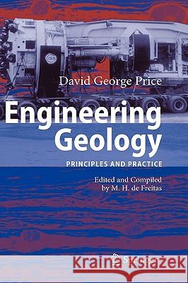 Engineering Geology: Principles and Practice de Freitas, Michael 9783540292494