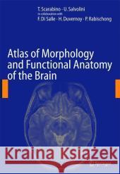 Atlas of Morphology and Functional Anatomy of the Brain Thomas Scarabino Ugo Salvolini T. Scarabino 9783540296287 Springer