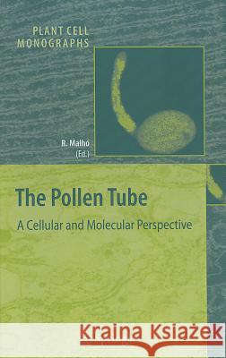 The Pollen Tube: A Cellular and Molecular Perspective Malhó, Rui 9783540311218 Springer