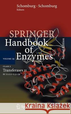 Class 2 Transferases II: EC 2.1.2.1 - 2.3.1.59 Schomburg, Dietmar 9783540319184 Springer