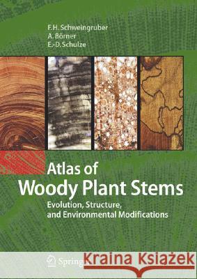 Atlas of Woody Plant Stems: Evolution, Structure, and Environmental Modifications Schweingruber, Fritz Hans 9783540325239