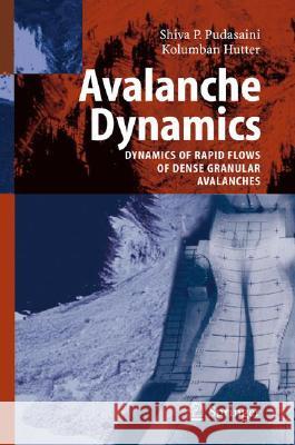 Avalanche Dynamics: Dynamics of Rapid Flows of Dense Granular Avalanches Pudasaini, S. P. 9783540326861 Springer