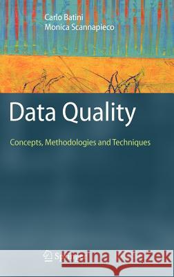 Data Quality: Concepts, Methodologies and Techniques Batini, Carlo 9783540331728 Springer