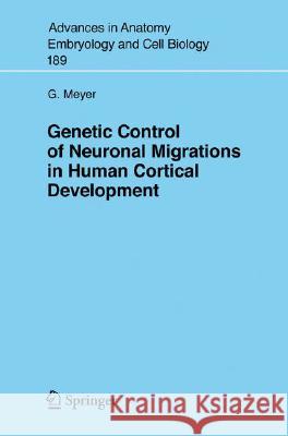 Genetic Control of Neuronal Migrations in Human Cortical Development Gundela Meyer 9783540366881 Springer