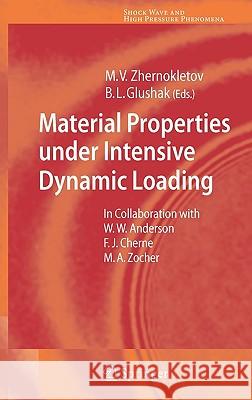 Material Properties Under Intensive Dynamic Loading Anderson, William W. 9783540368441 Springer