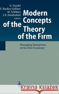 Modern Concepts of the Theory of the Firm: Managing Enterprises of the New Economy Raubenheimer, H. 9783540405092