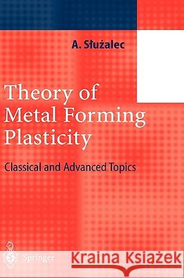 Theory of Metal Forming Plasticity: Classical and Advanced Topics Sluzalec, Andrzej 9783540406488