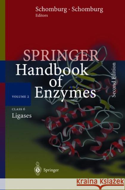 Class 5: Isomerases Dietmar Schomburg Ida Schomburg Dietmar Schomburg 9783540410089 Springer