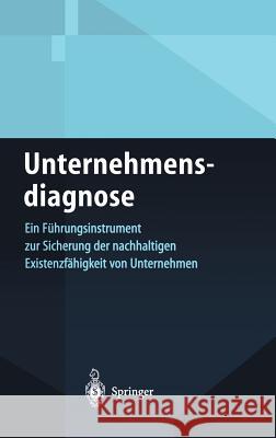 Unternehmensdiagnose: Ein Führungsinstrument Zur Sicherung Der Nachhaltigen Existenzfähigkeit Von Unternehmen Nührich, Klaus P. 9783540410331 Springer, Berlin